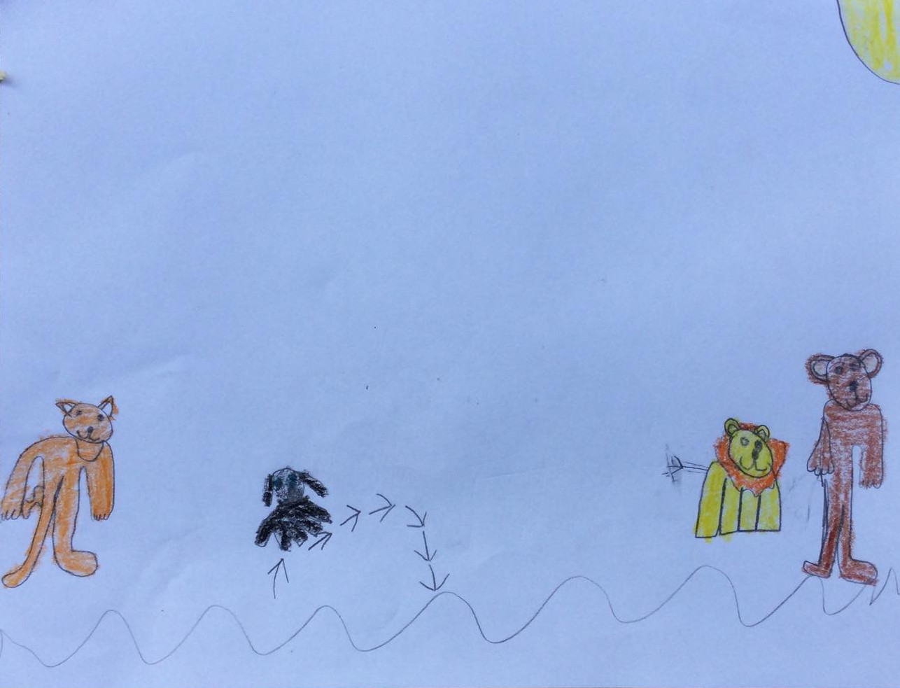 animals